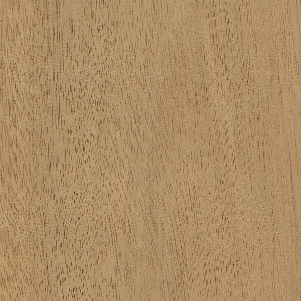 Mahogany sample from hs hard wood floor fitting london