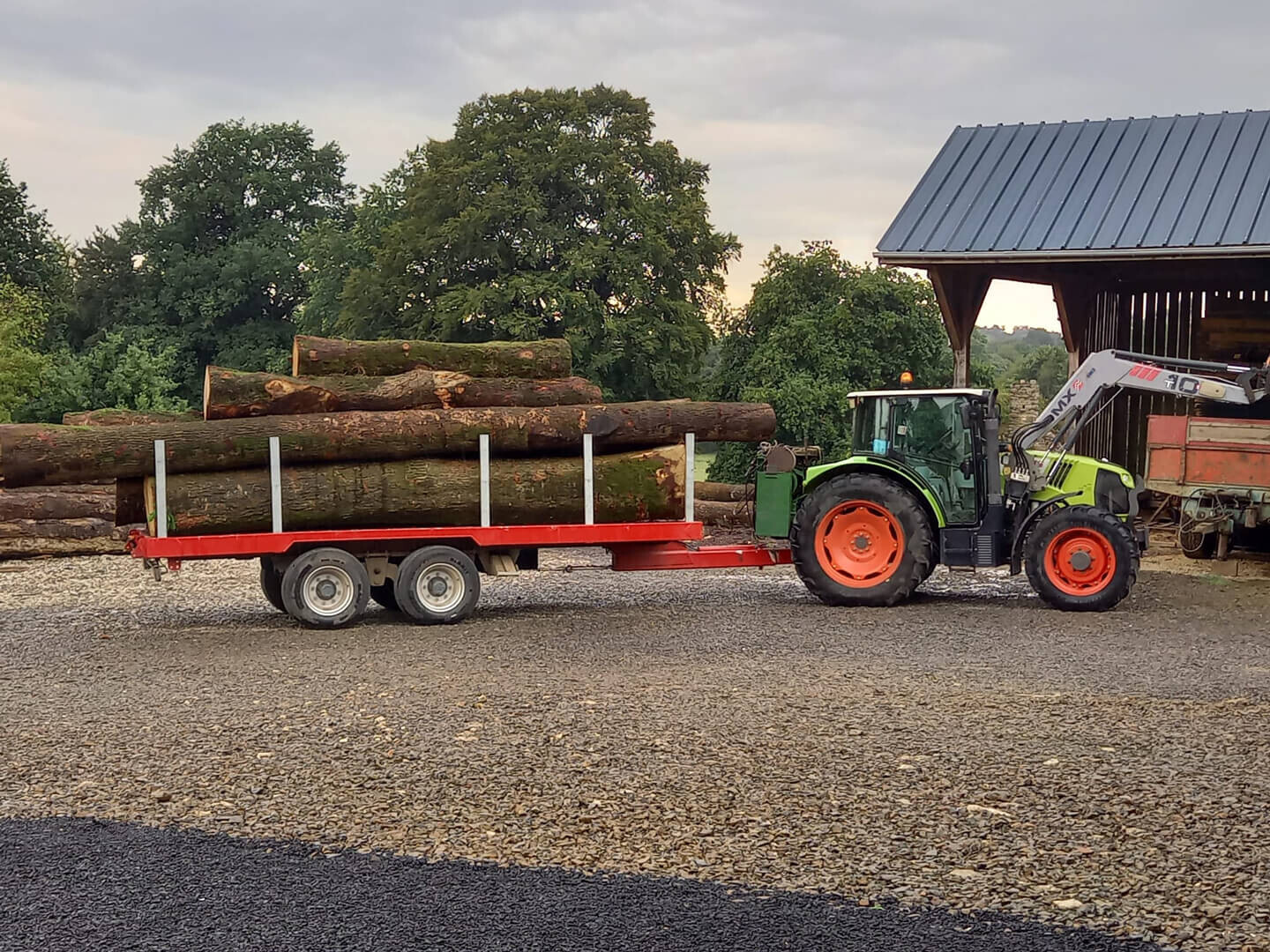 Trunk load. The Wild Oak trees arrive at the traditional sawmill which, after processing, will be cut and finished into boards and parquet blocks.
